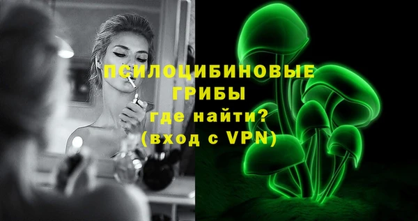 спиды Аркадак
