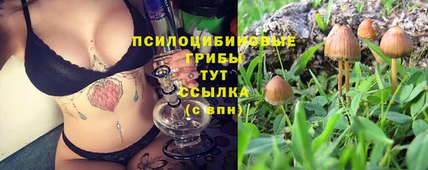 спиды Аркадак