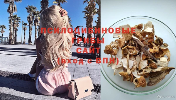 spice Армянск
