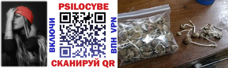 Псилоцибиновые грибы прущие грибы Артёмовский